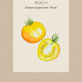 Tomat 'Peach'