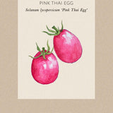 Tomat 'Pink Thai Egg'