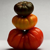 Tomatnäring för Godare Tomater