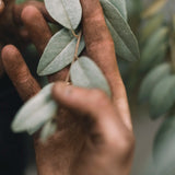 Handkräm 'Silverberry' 30 ml