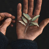 Handkräm 'Silverberry' 300 ml