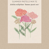 Röllika 'Summer Pastells Mix'