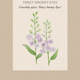 Riddarsporre 'Fancy Smokey Eyes'