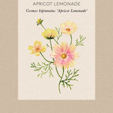 Rosenskära 'Apricot Lemonade'