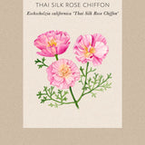 Sömntuta 'Thai Silk Rose Chiffon'