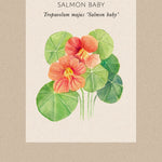 Fröpåse Dvärgkrasse - Tropaeolum minus 'Salmon Baby'